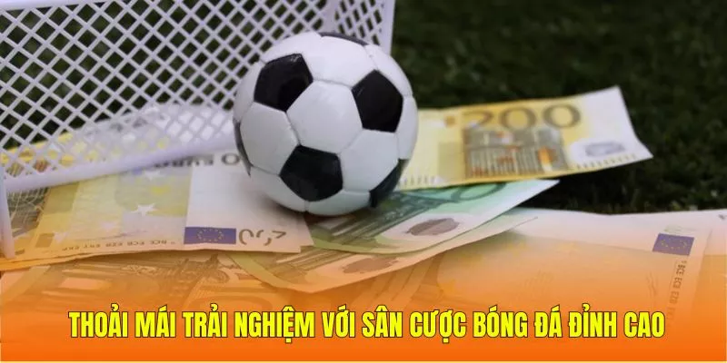 Thoải mái trải nghiệm với sân cược bóng đá đỉnh cao