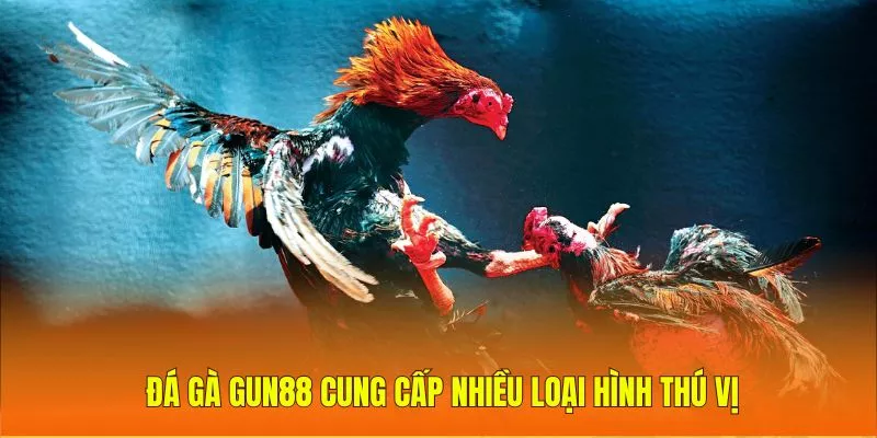 Đá gà Gun88 cung cấp nhiều loại hình thú vị