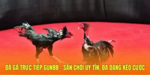 đá gà trực tiếp Gun88