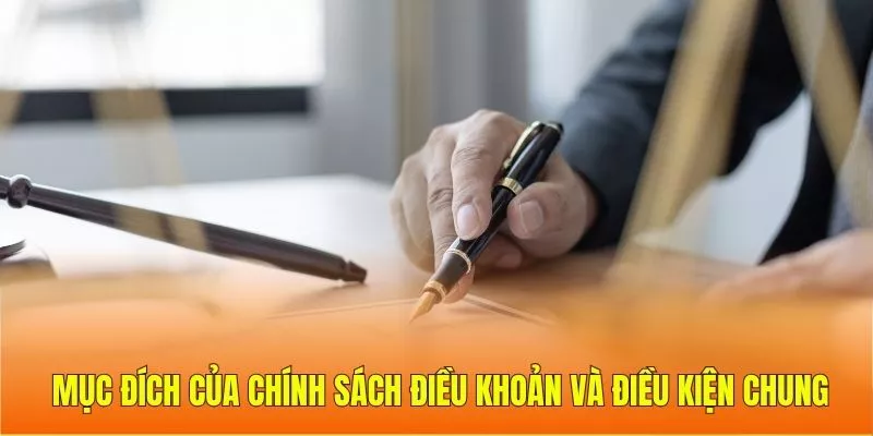 Mục đích của chính sách điều khoản và điều kiện chung