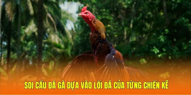Soi cầu đá gà dựa vào lối đá của từng chiến kê